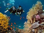 TITI Dive – 8 Days (Cairo – Luxor – Hurghada)