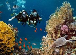 TITI Dive – 8 Days (Cairo – Luxor – Hurghada)