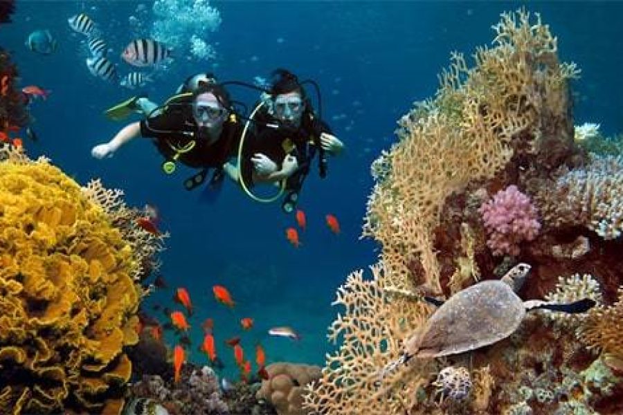 TITI Dive – 8 Days (Cairo – Luxor – Hurghada)