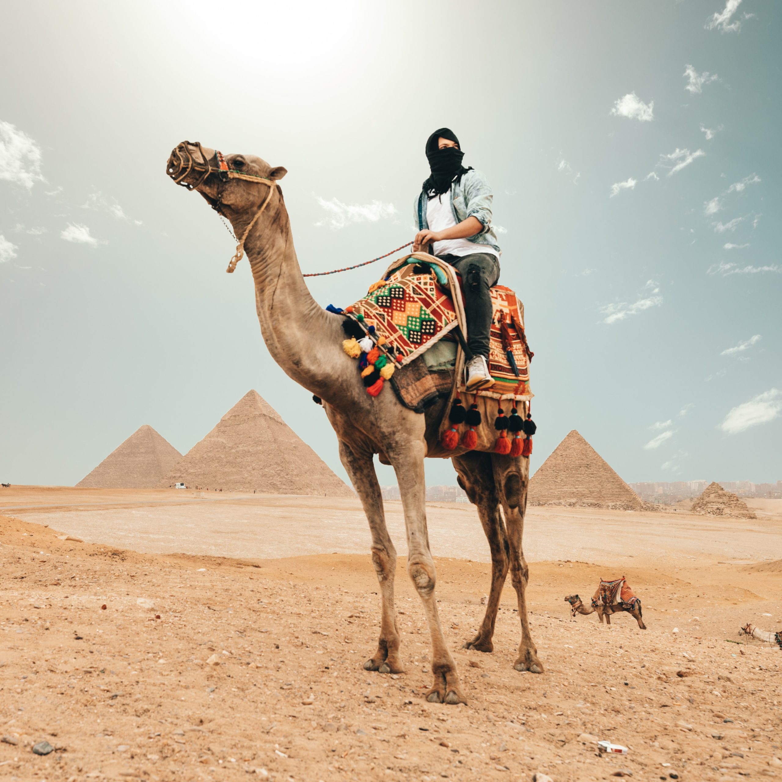 Hatshepsut – 9 Days (Cairo – Nile cruise)