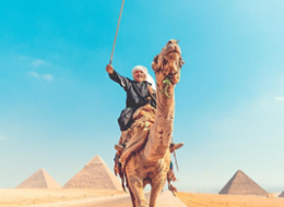 Pyramids Day Tour