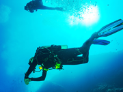 Hurghada Daily Dive
