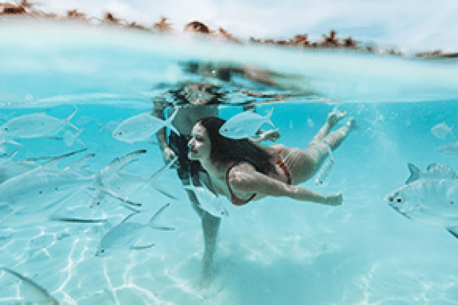 Snorkeling Giftun Island