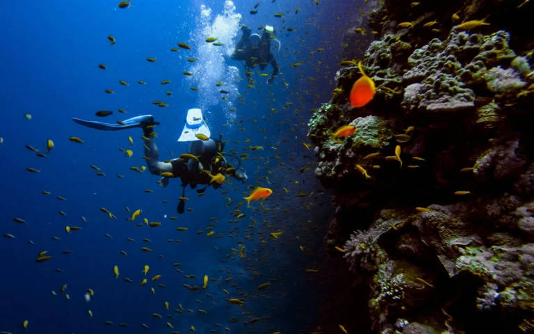 Scuba divers beside a coral wall in the Red Sea