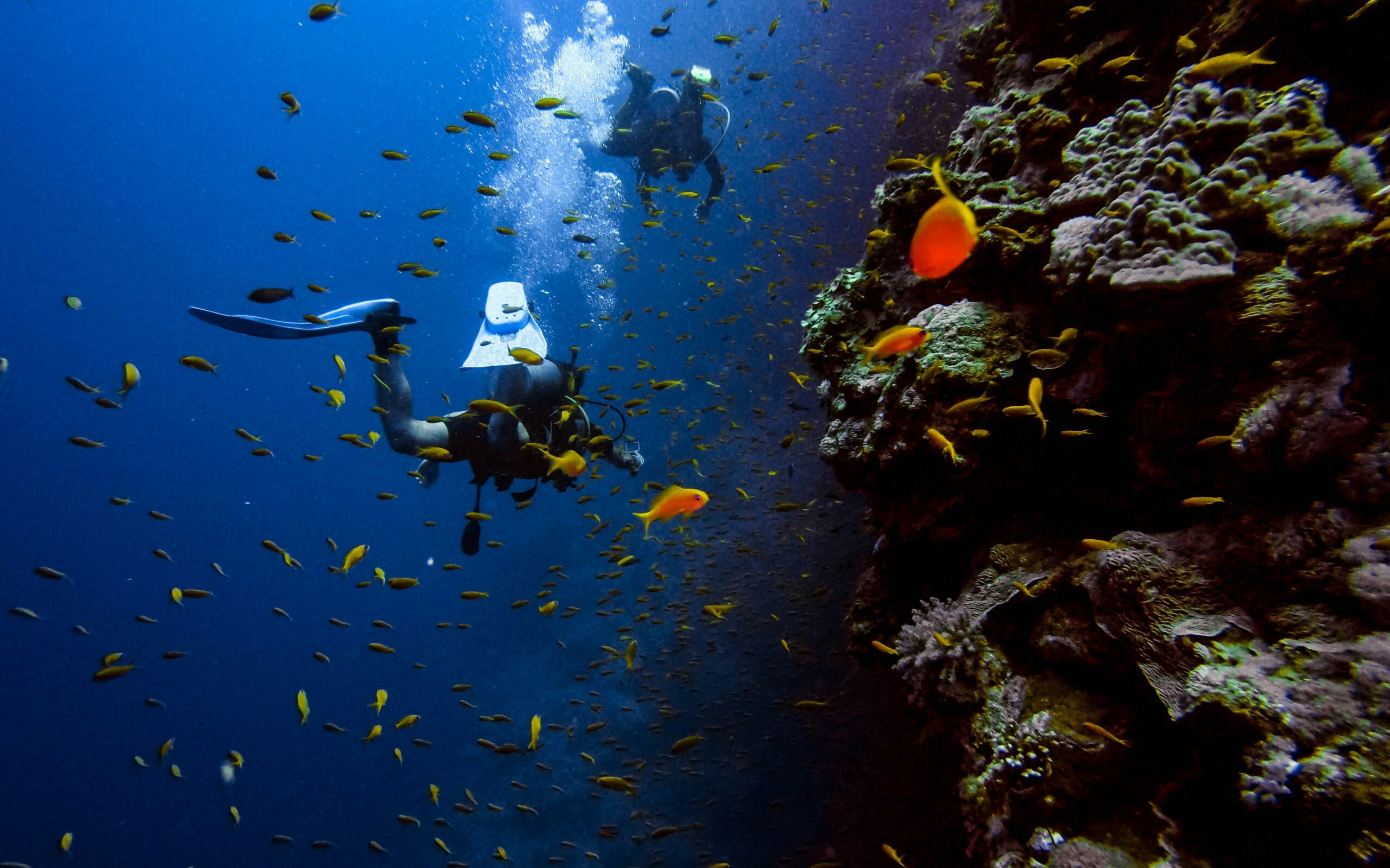 King Tut Dive – 10 Days (Cairo – Nile cruise & Sharm El-Shekh)