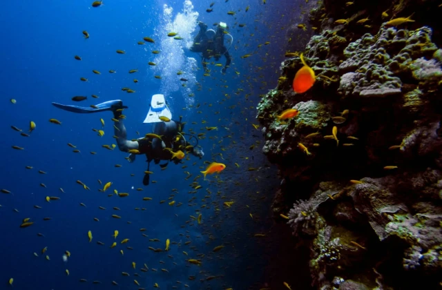 Sun & Sea – 8 Days (Cairo – Luxor & Hurghada)