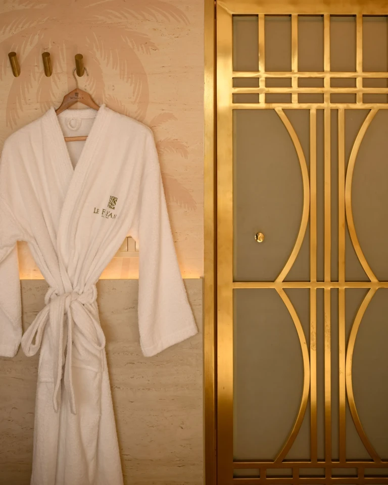 White bathrobe on wall hooks beside a gold patterned door