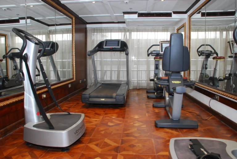 Gym with treadmill, vibration plate and exercise bike