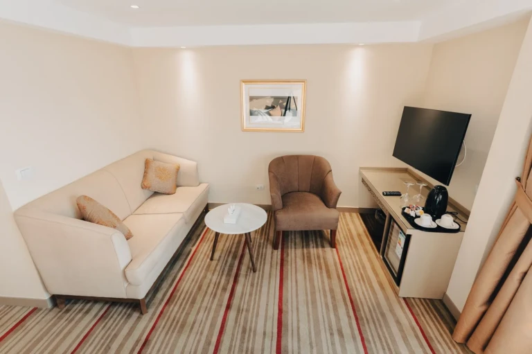 Cabin sitting area with sofa, armchair and desk on the Nebu