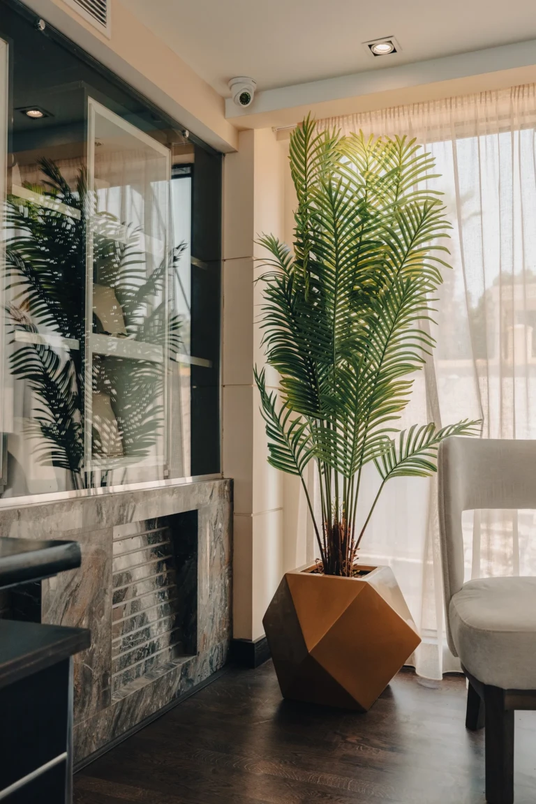 Potted palm beside a stone fireplace and window on the Nebu