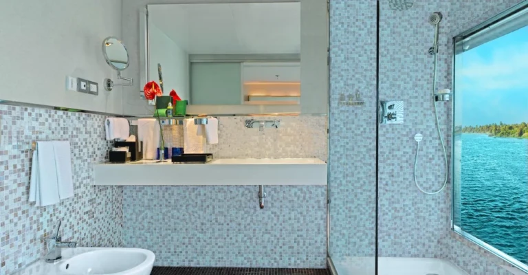 Bathroom with glass shower and Nile view window on the Oberoi Zahra