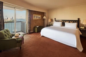 Sofitel Cairo Nile El Gezirah (4 nights)