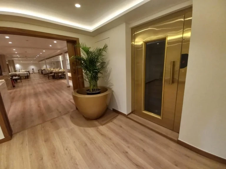 Corridor with potted palm and gold elevator door, Sonesta Star Goddess