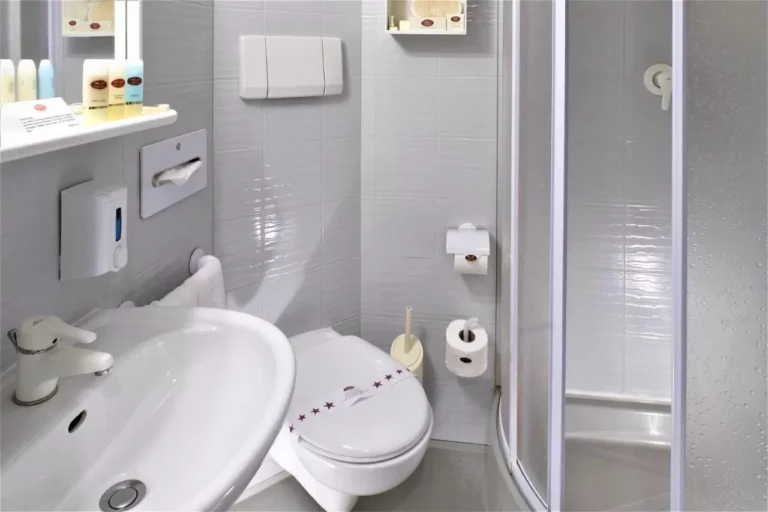 Cabin bathroom with washbasin, toilet and shower on the Steigenberger Royale