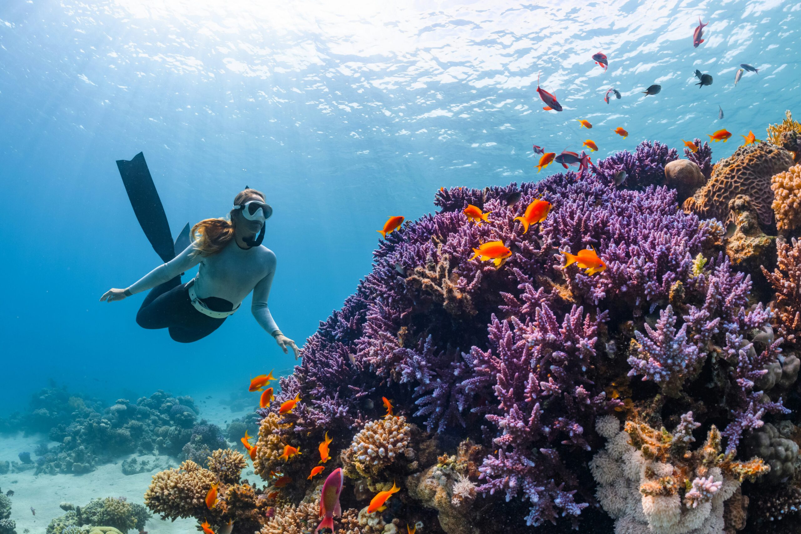 Hatshepsut Dive – 10 Days (Cairo – Nile cruise – Sharm El-Shekh)