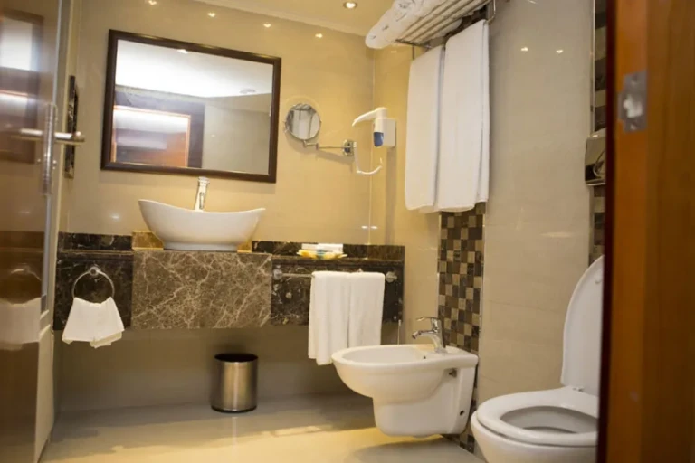 Blue Shadow bathroom with vessel sink, bidet and towels