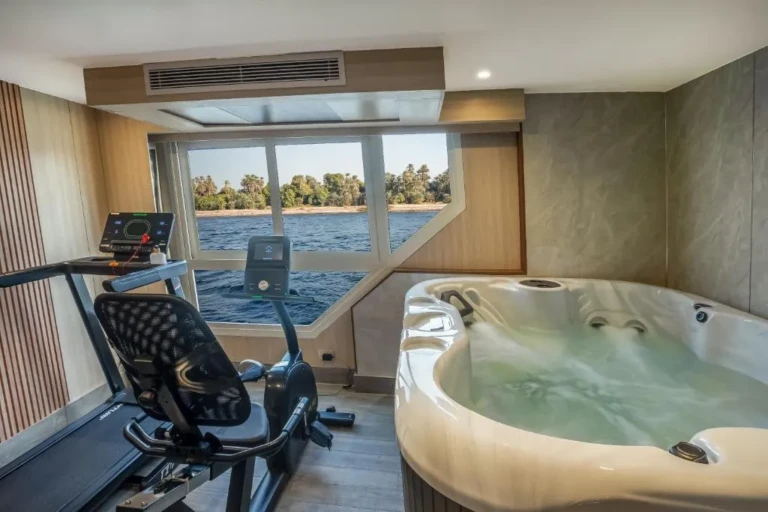 Exercise bike beside a jacuzzi on the Renaissance