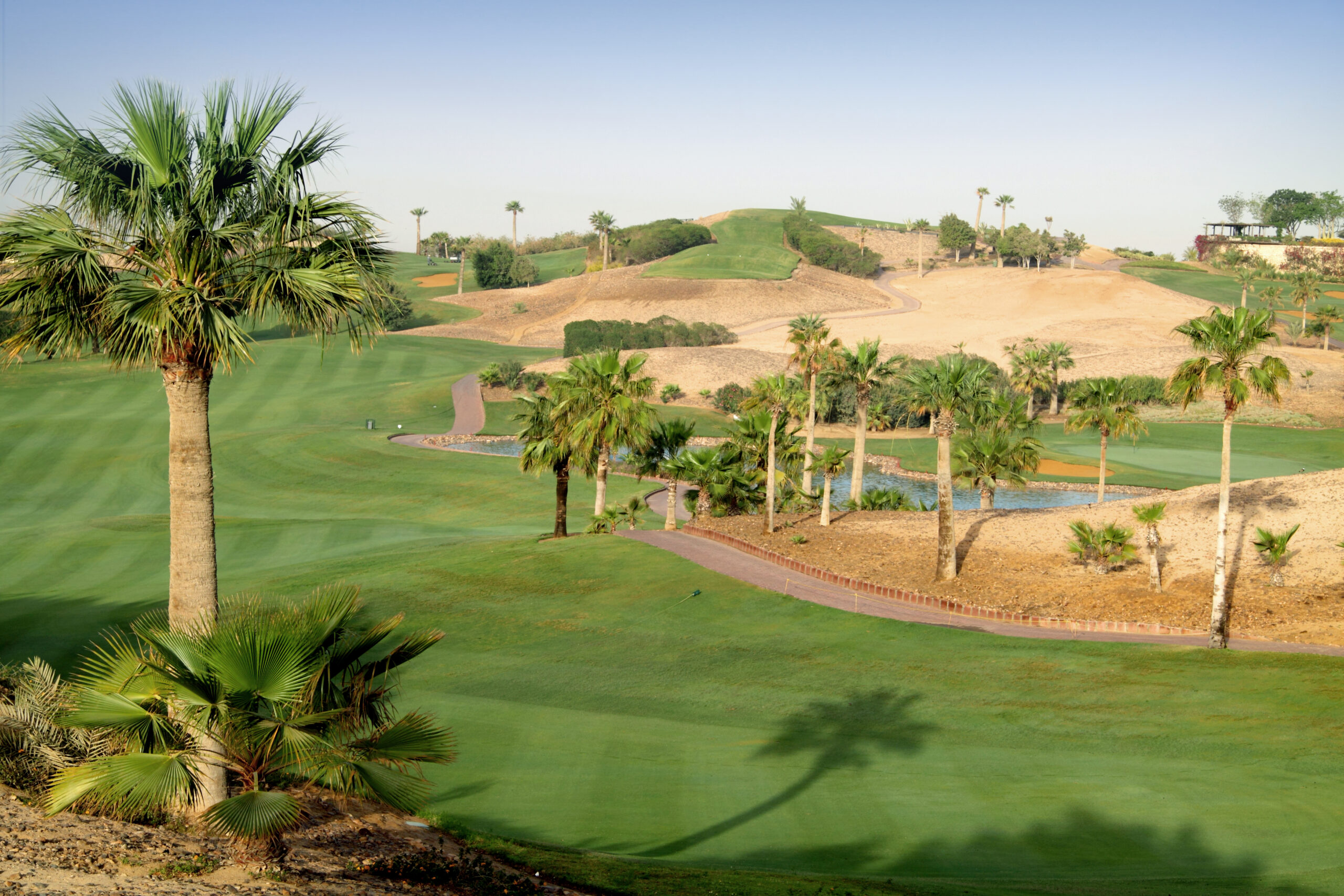 Golf Packages 