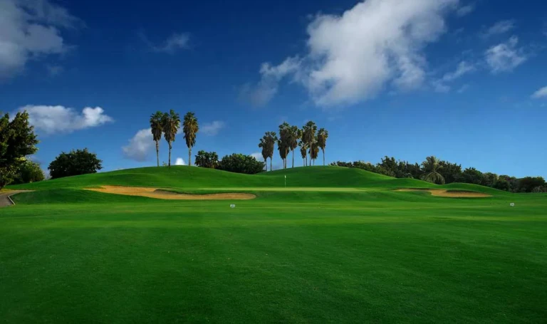 Golf course green with palm trees and sand bunkers