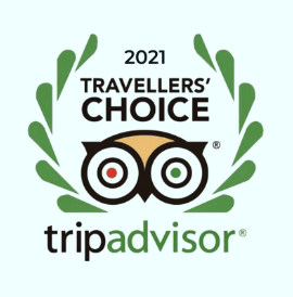 Tripadvisor Certificate