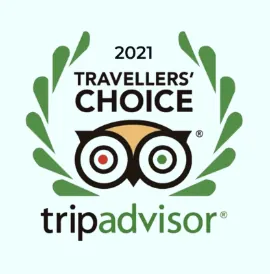 Tripadvisor Certificate
