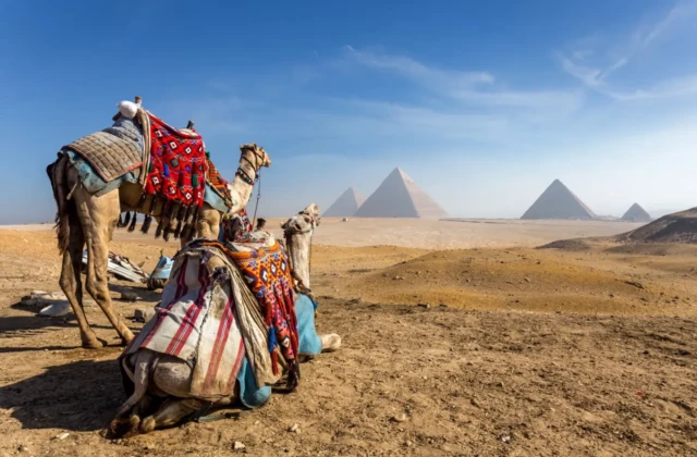 Royal Egypt Tour  (14 Days / 13 Nights )
