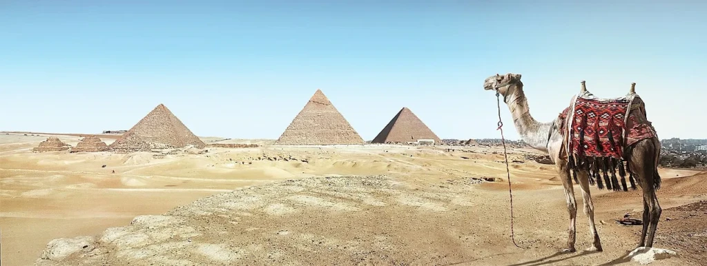 Giza Pyramids with Camel