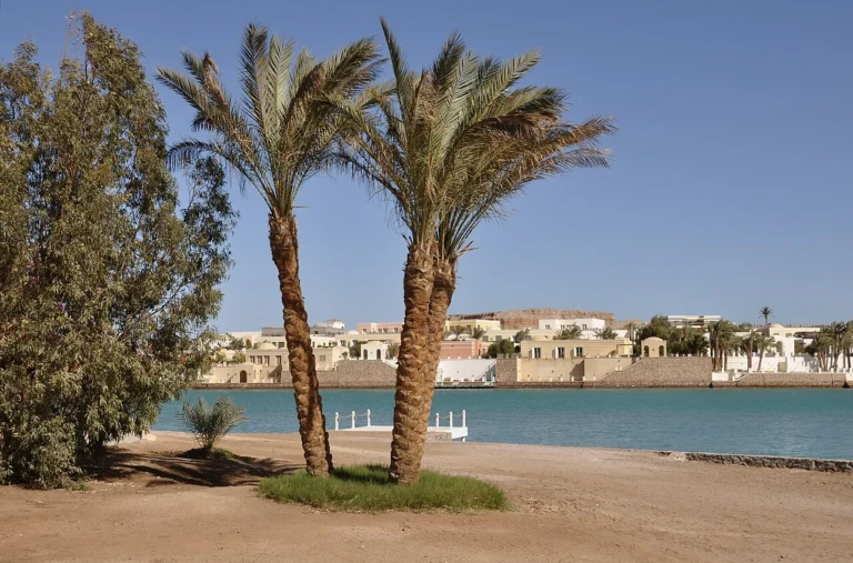 Lagoon and palms in El Gouna