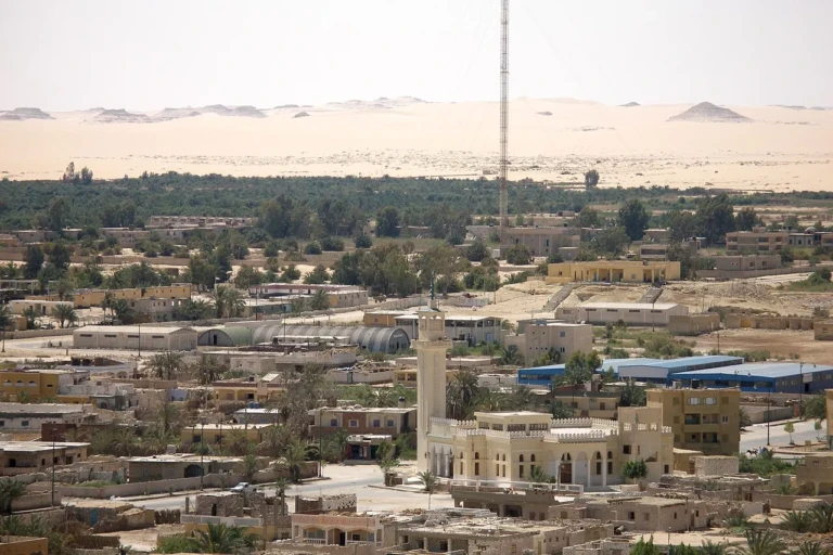 Palm groves of Siwa Oasis